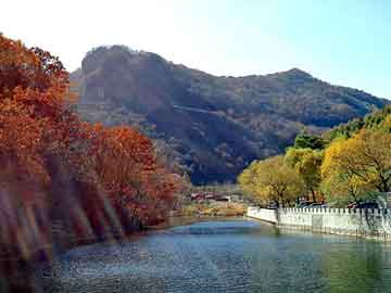 新澳门二四六天天彩，氢化松香